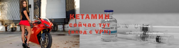 прущие грибы Майский