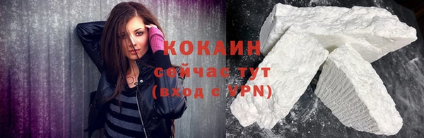 прущие грибы Майский